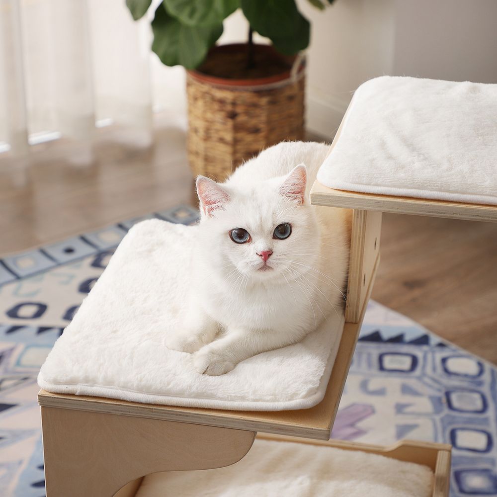 Compacte Krabpaal - Stijlvol en praktisch voor jouw katten - De Vries Meubels