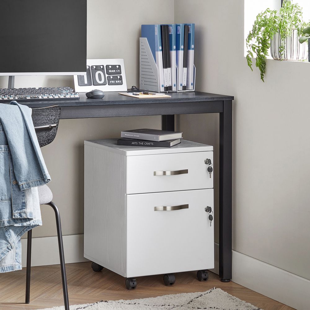 Ladeblok met Slot – Archiefkast met 2 Laden en Verstelbare Stangen - De Vries Meubels