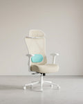 Ergonomische Bureaustoel – Verstelbare Hoofdsteun En Lendensteun – Mesh Office Chair – Belastbaar Tot 150 kg