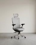 Ergonomische Bureaustoel Ergo Elite 2.0 – Compleet Verstelbaar – 6-delige TPR-Lendensteun – Tot 150 kg